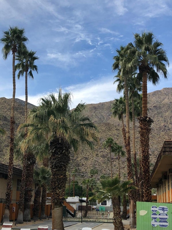 Desert Lodge image 3