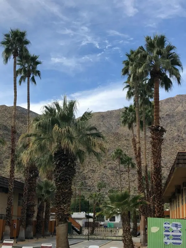 Desert Lodge Main image