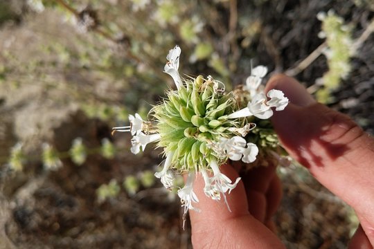 Tour image 12