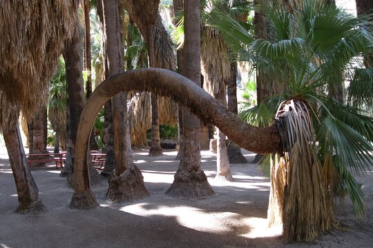 Tour image 4