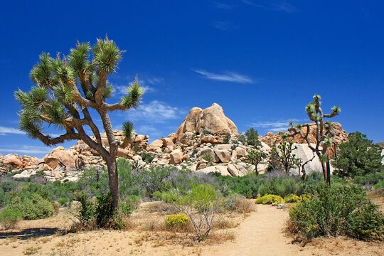 Tour image 4