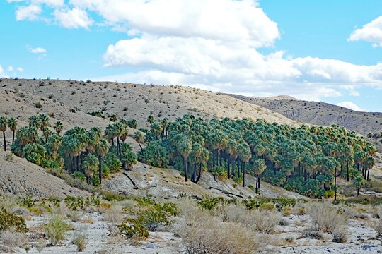 Tour image 12