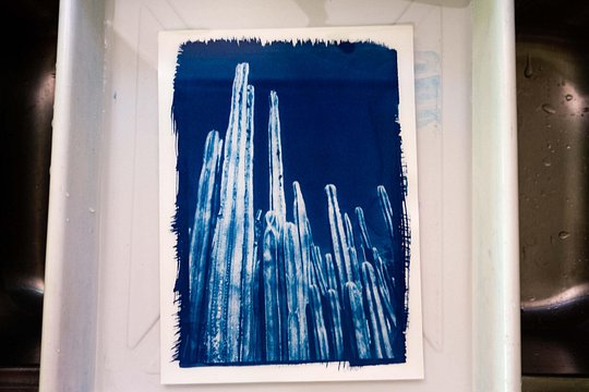 Tour image 3